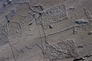 Rock Carving Prints: Rock carvings, Vallee de Fontanalba
