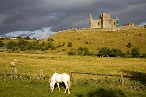 Images Dated 10th August 2006: Rock of Cashel