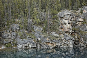 Albert A Prints: Rock-clif shore of Horseshoe Lake