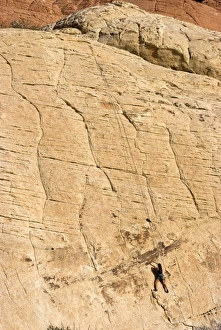 Rock Cliffs Prints: Rock climber, Red Rock National Conservation Area
