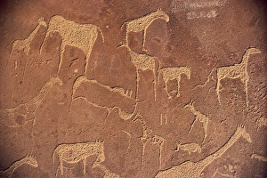 Rock engravings