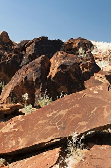 Damaraland Prints: Rock engravings, Huab River Valley, Torra Conservancy, Damaraland, Namibia, Africa