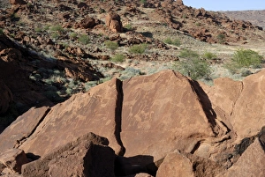 Rock engravings, UNESCO World Heritage Site, Twyfelfontein, Namibia, Africa