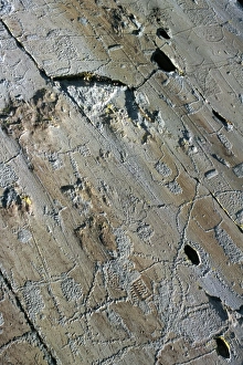 Rock Carving Prints: Rock engravings, Vallee de Fontanalba, Pays Merveilles, Mercantour National Park