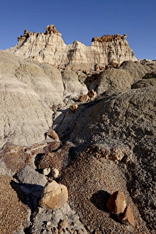 Images Dated 28th December 2010: Rock formation in the badlands that looks like a castle, Bisti Wilderness