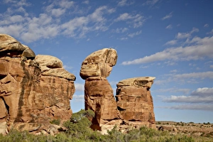 Canyon Lands Prints: Rock formation with clouds, The Needles District, Canyonlands National Park