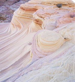Images Dated 12th March 2008: Rock formation known as Swirls on the Colorado Plateau