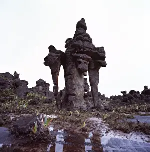 Venezuela Prints: Rock formation on the summit of Mount Kukenaam (Kukenan) (Cuguenan), Estado Bolivar