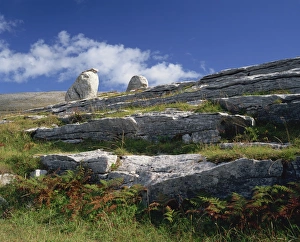 The Burren Prints: Rock formations of The Burren