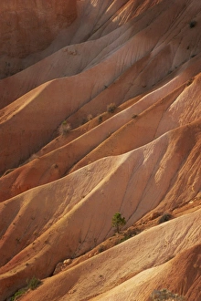 Bryce Canyon Prints: Rock formations caused by erosion