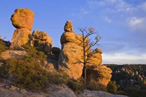 Rock formations in Chiricahua National Monument, Willcox, Cochise County