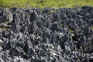 L Imestone Prints: Rock Formations in Hell, Grand Cayman