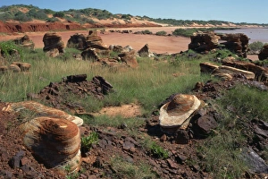 Kimberley Prints: Rock forms around port, Broome, Kimberley, Western Australia, Australia, Pacific
