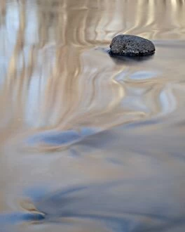 Images Dated 13th February 2010: Rock in Oak Creek with ripples, Crescent Moon Picnic Area, Coconino National Forest
