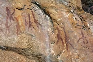 Images Dated 2nd December 2008: Rock paintings, erect pensises men, Tsodilo Hills, UNESCO World Heritage Site