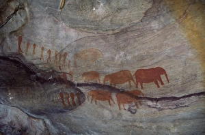 Cave Painting Prints: Rock paintings, Matopo Park, Zimbabwe, Africa