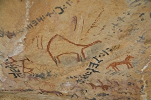 Algeria Prints: Rock paintings in the Tassili n Ajjer, UNESCO World Heritage Site, Southern Algeria