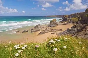 Flowers Prints: Rock stacks, beach and rugged coastline at Bedruthan Steps, North Cornwall