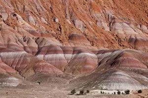 Images Dated 18th November 2007: Rock strata in cliffs in Paria River Valley, Grand Staircase-Escalante National Monument