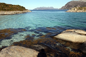 North Norway Prints: Rock and weed in harbour at Gasvaer