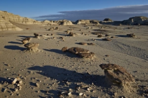 Badlands Prints: Rocks in the badlands, Bisti Wilderness