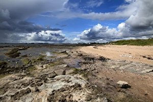 Angus Prints: Rocks on the beach at Carnoustie, Angus, Scotland, United Kingdom, Europe
