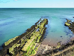 Algae Prints: Rocks at Castle Sands in St. Andrews, Fife, Scotland, United Kingdom, Europe