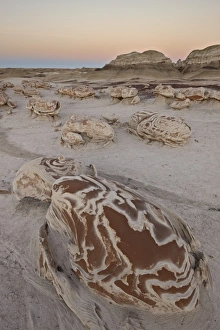 Images Dated 25th December 2010: Rocks at the Egg Factory at dusk, Bisti Wilderness, New Mexico, United States of America