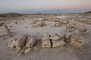 Images Dated 25th December 2010: Rocks at the Egg Factory at dusk, Bisti Wilderness, New Mexico, United States of America