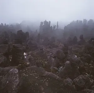 Venezuela Prints: Rocks in the mist on the summit of Mount Kukenaam (Kukenan) (Cuguenan)