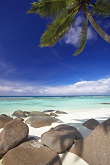 Tropics Prints: Rocks and palm tree on tropical beach, Seychelles, Indian Ocean, Africa