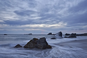 State Park Prints: Rocks in the surf at sunset, Harris Beach State Park