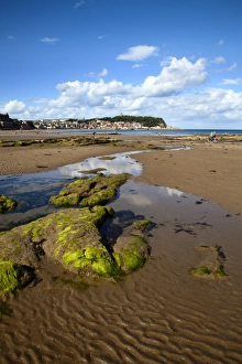 Tides Prints: Rocks and Tide Pools in South Bay