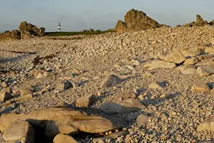 Ushant Prints: Rocky beach and lighthouse, Island of Ushant (Ile d Ouessant), Brittany
