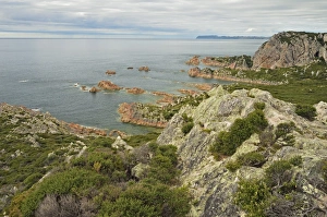 Australasian Prints: Rocky Cape, Rocky Cape National Park, Tasmania, Australia, Pacific