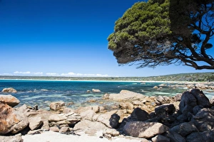 Images Dated 10th October 2008: Rocky cliffs on Shelley Cove near Eagle Bay, Western Australia, Australia, Pacific