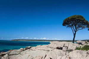 Images Dated 10th October 2008: Rocky cliffs on Shelley Cove near Eagle Bay, Western Australia, Australia, Pacific