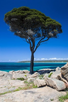 Images Dated 10th October 2008: Rocky cliffs on Shelley Cove near Eagle Bay, Western Australia, Australia, Pacific