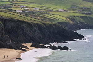 Head Land Prints: Rocky coast and beach