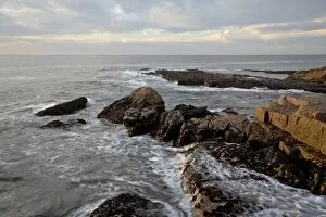 Images Dated 25th October 2007: Rocky coast, Elands Bay, South Africa, Africa