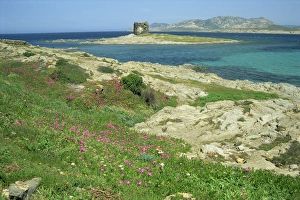 Rocky coast and Pelosa tower in the Fornelli inlet