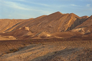 Arid Landscapes Prints: Rocky plain and hills in the background in the Negev Desert, Israel, Middle East