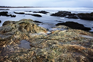 Fife Prints: Rocky shoreline, St. Andrews, Fife, Scotland, United Kingdom, Europe