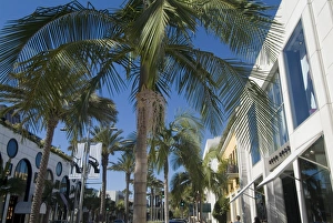 Rodeo Drive