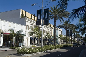 Rodeo Drive