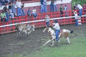 Images Dated 19th March 2009: Rodeo, La Fortuna, Arenal, Costa Rica, Central America