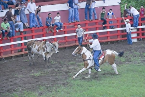 Images Dated 19th March 2009: Rodeo, La Fortuna, Arenal, Costa Rica, Central America