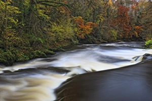 County Londonderry Prints: Roe Valley, County Londonderry, Ulster, Northern Ireland, United Kingdom, Europe
