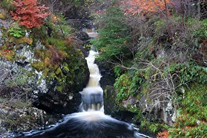 Purity Prints: Rogie Falls, Ross-shire, Highlands, Scotland, United Kingdom, Europe