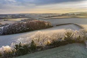 Rolling countryside at dawn on a frosty winter morning, Devon, England, United Kingdom